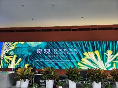 -四川大学博物馆