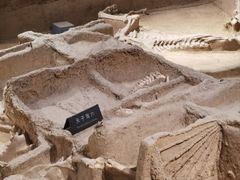 -洛阳周王城天子驾六博物馆