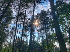 -重庆雨台山风景区