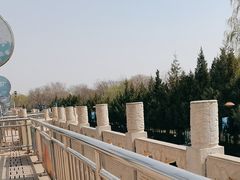 -中央广播电视塔