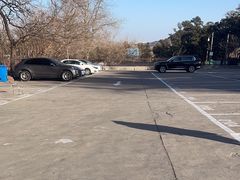 -大觉寺-停车场