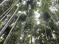 -水绘园