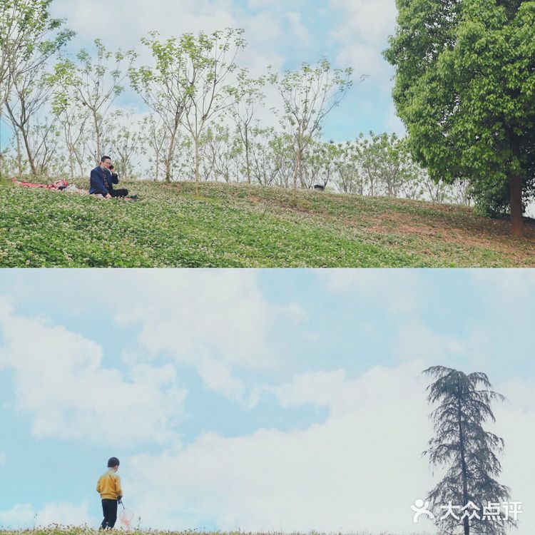 误入成都版森林公园🏠打卡童话小木屋!