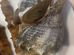 -福茗春薪禾记海鲜烧烤(八一路店)