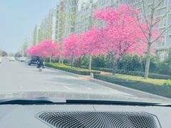 -金盾花园小区