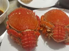 -安蒂娅·海鲜自助餐厅(安蒂娅美兰酒店)