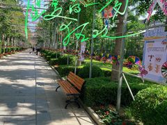 -南宫五洲植物乐园