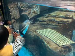 -海合安武汉极地海洋公园