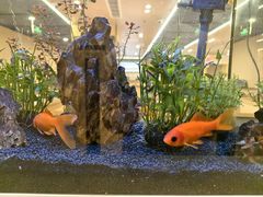 -海底捞火锅(杭州天虹购物中心店)