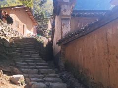 -杨家堂村