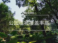 -黄埔荔枝公园