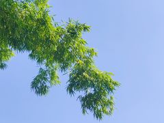 -翠湖里(翠湖南路店)