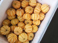 -江杨农产品批发市场