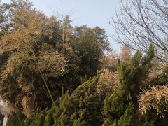 -南翠屏公园