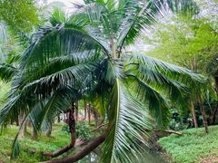 -白沙门生态公园