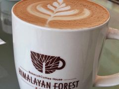 -喜马拉雅森HIMALAYAN FOREST
