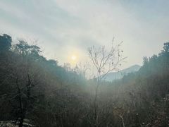 -北京鹫峰国家森林公园