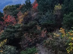 -香山公园