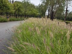 -东郊湿地公园