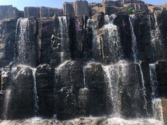 -海南热带野生动植物园