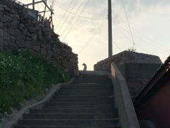-枸杞岛