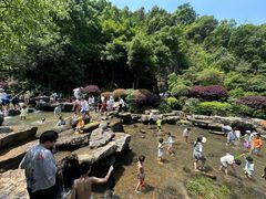 -桃花岭景区