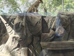 -青藏高原野生动物园