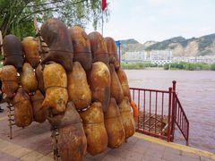 -水车博览园