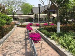 iphone_upload_pic-吴淞炮台湾湿地森林公园烧烤区