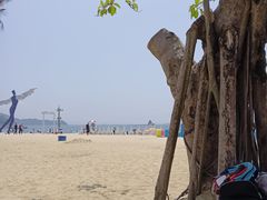 -大梅沙海滨公园