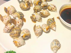 白灼花螺-富黎华海鲜大酒楼(正大广场店)