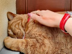 -思南公馆商业街