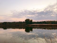 -东郊湿地公园