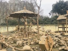 -常州淹城野生动物世界