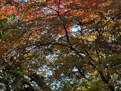-九鼎铁刹山风景区
