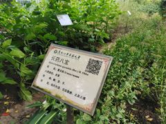 -黑龙江中医药大学