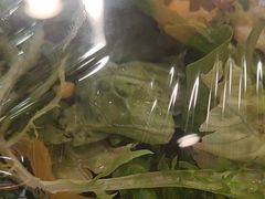 -西部马华清真兰州牛肉面·烧烤夜市(关东店)
