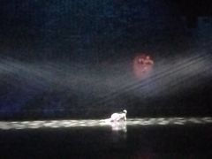 -济南方特东方神画