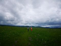 -塞罕坝国家级自然保护区