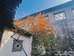 -拙政园