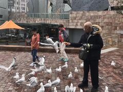 -福林德街火车站