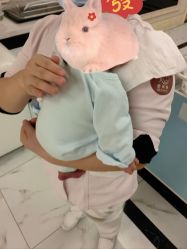 点击看大图 -星摇篮月子中心(市妇幼店)