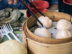 晶莹鲜虾饺-添好运点心专门店(北角店)