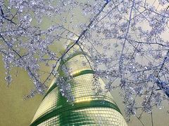 -陆家嘴中心绿地