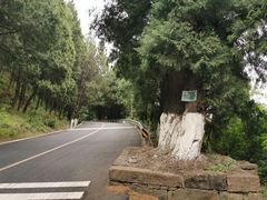 -七曲山风景区