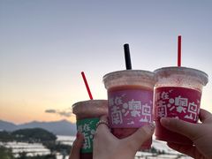 -南澳岛打卡果汁冰公司