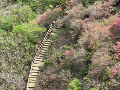 -木兰云雾山