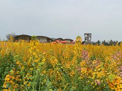 -中国天府农业博览园