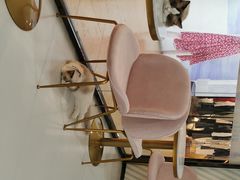 -糯米喵星人·撸猫猫舍咖啡馆(西市场嘉华店)