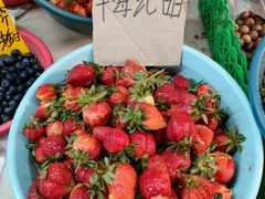 -五里多农博广场